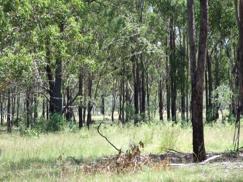 Lot 1/ Unnamed Road, Mount Larcom QLD 4695