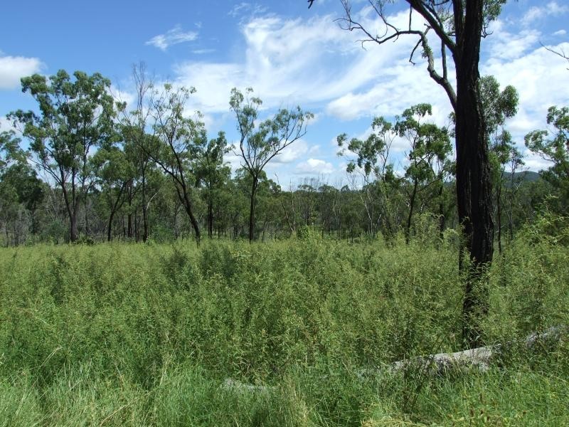 Lot 4/ Gostevsky Rd, Mount Larcom QLD 4695