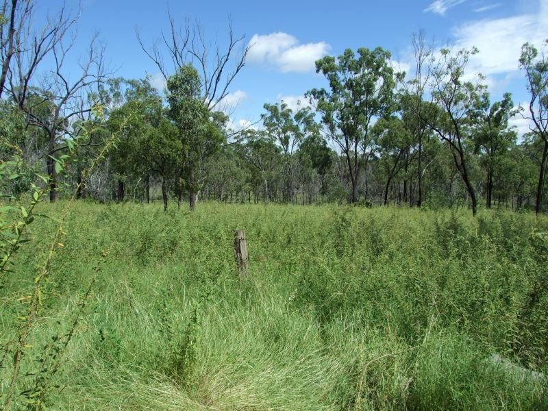 Lot 4/ Gostevsky Rd, Mount Larcom QLD 4695