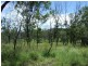 Lot 4/ Gostevsky Rd, Mount Larcom QLD 4695