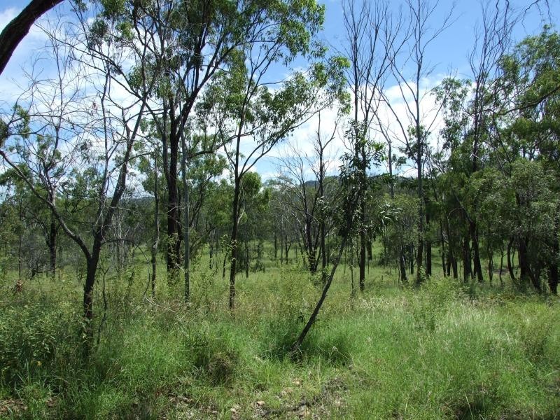Lot 4/ Gostevsky Rd, Mount Larcom QLD 4695
