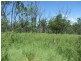 Lot 4/ Gostevsky Rd, Mount Larcom QLD 4695