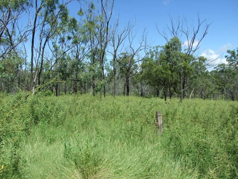 Lot 4/ Gostevsky Rd, Mount Larcom QLD 4695