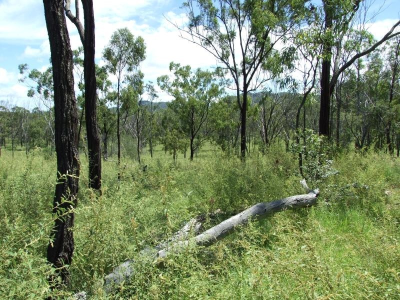 Lot 4/ Gostevsky Rd, Mount Larcom QLD 4695