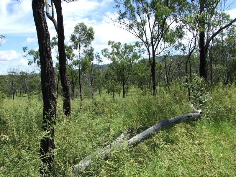 Lot 4/ Gostevsky Rd, Mount Larcom QLD 4695