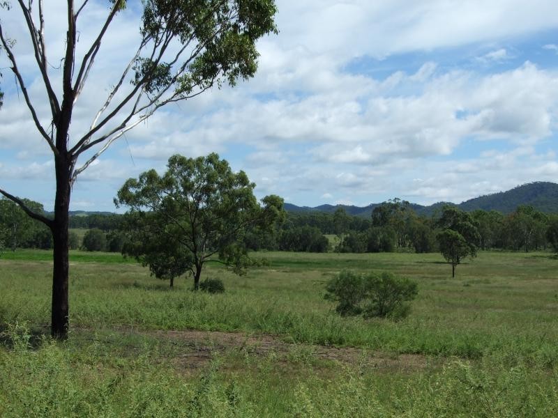 Lot 5/ Gostevsky Road, Mount Larcom QLD 4695