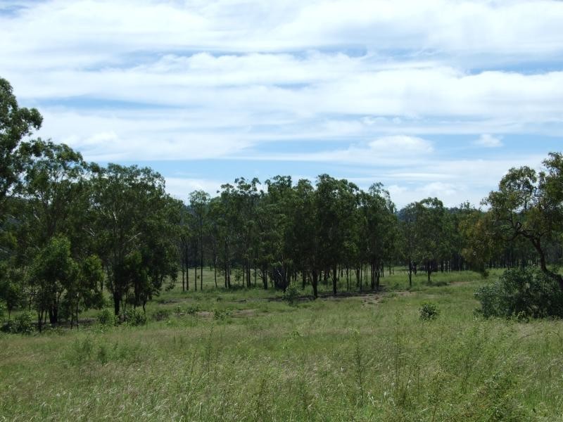 Lot 5/ Gostevsky Road, Mount Larcom QLD 4695