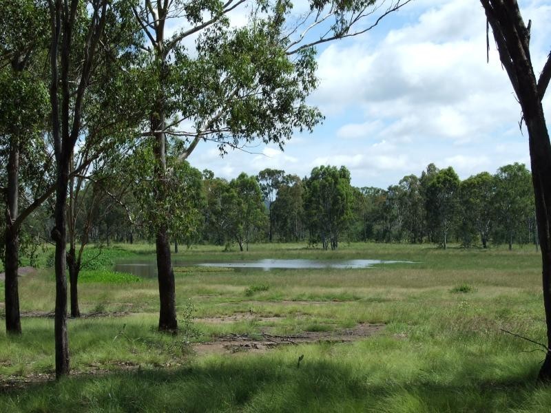Lot 5/ Gostevsky Road, Mount Larcom QLD 4695