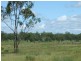 Lot 5/ Gostevsky Road, Mount Larcom QLD 4695
