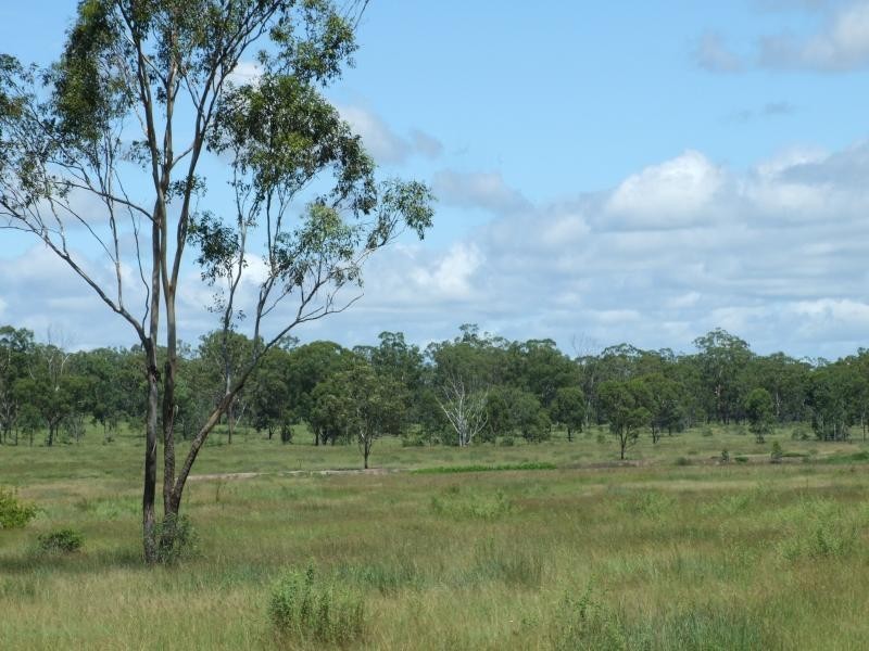 Lot 5/ Gostevsky Road, Mount Larcom QLD 4695