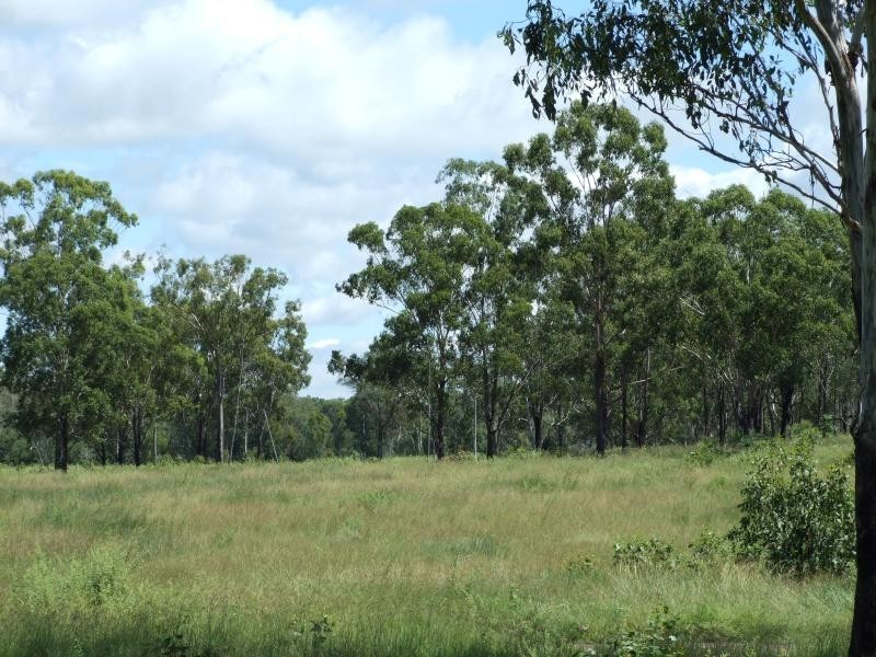 Lot 5/ Gostevsky Road, Mount Larcom QLD 4695