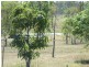 53 Scotts Road, Bororen QLD 4678