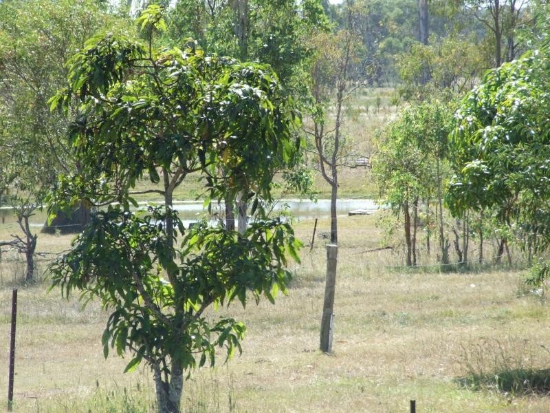 53 Scotts Road, Bororen QLD 4678