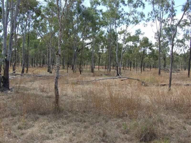 537 Intrepid Dve, Foreshores QLD 4678