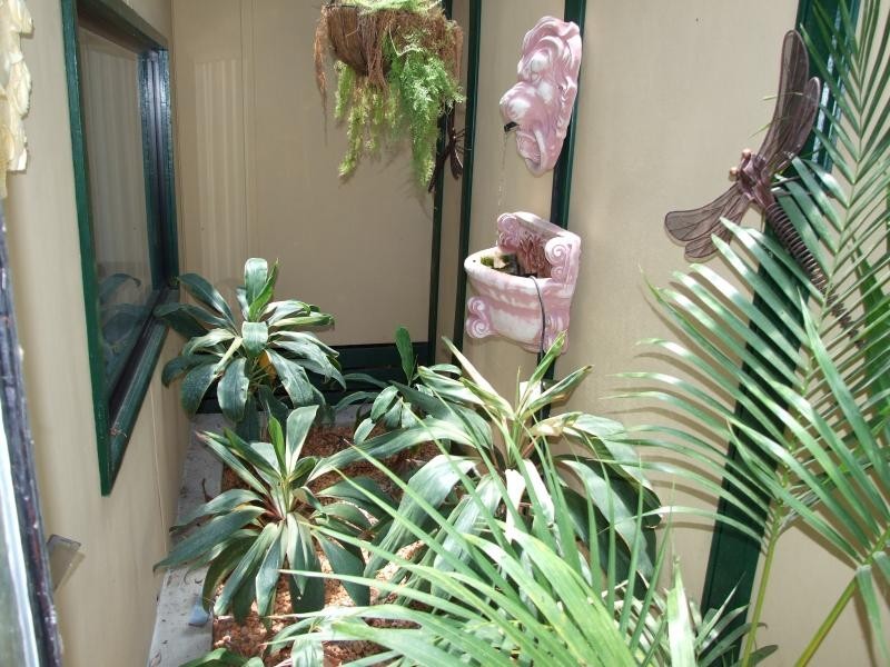 11 Dougall Street, Bororen QLD 4678