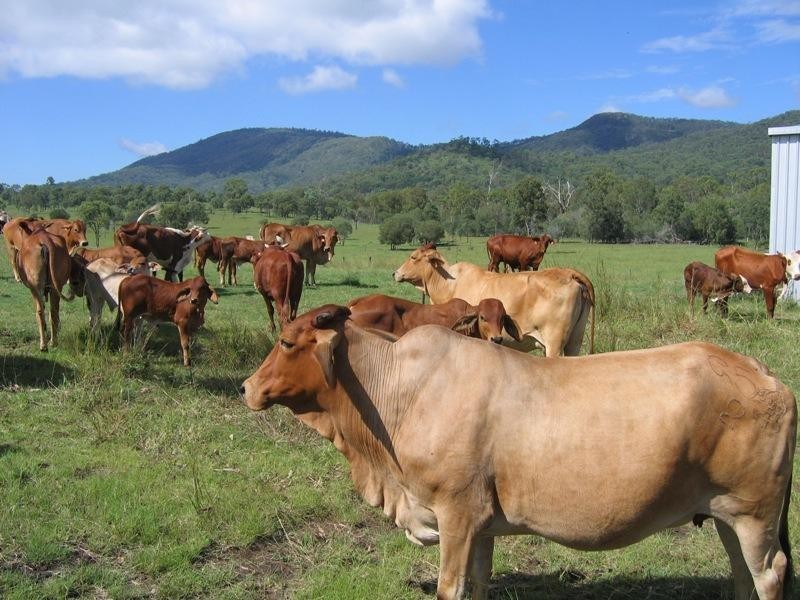 46663 Bruce Highway, Bororen QLD 4678