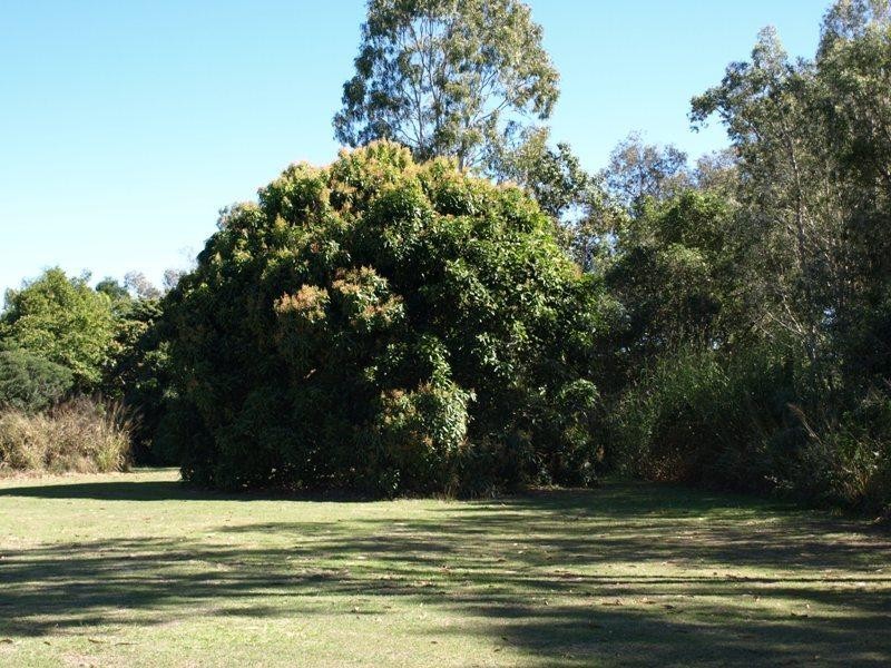 11 Awoonga Dam Road, Benaraby QLD 4680