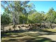 256 Rodds Bay Road, Iveragh QLD 4680