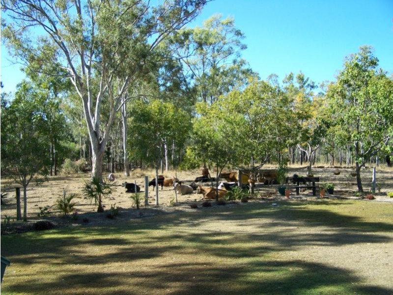 256 Rodds Bay Road, Iveragh QLD 4680