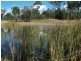 256 Rodds Bay Road, Iveragh QLD 4680