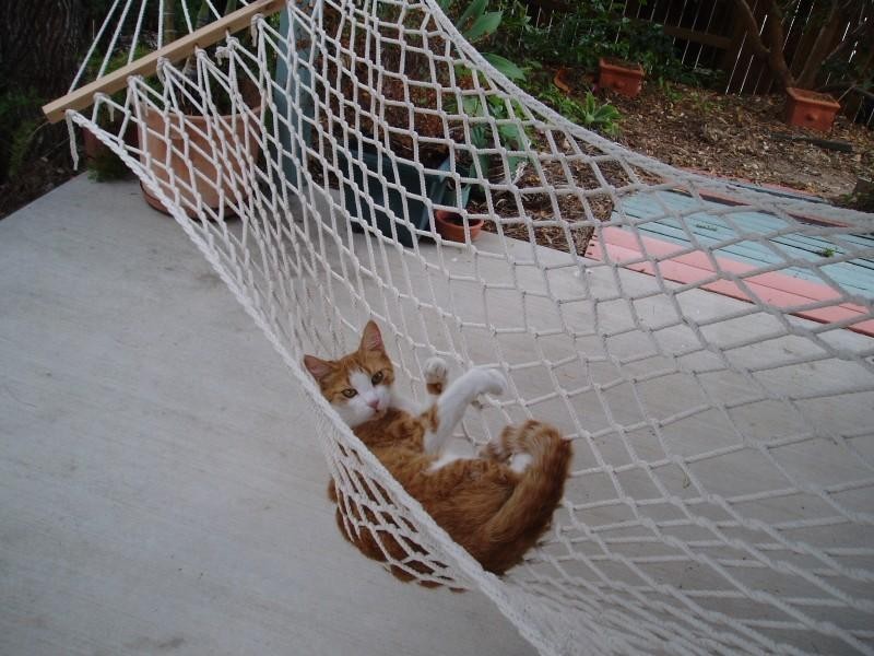 58 Cremorne Drive,, Tannum Sands QLD 4680