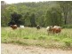 Lot 4/779 Dalga Road, Builyan QLD 4680