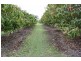 68 Koorawatha Drive, Bororen QLD 4678