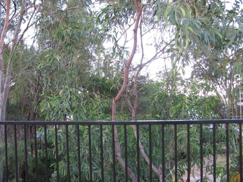 9 Alpine Avenue, Boyne Island QLD 4680