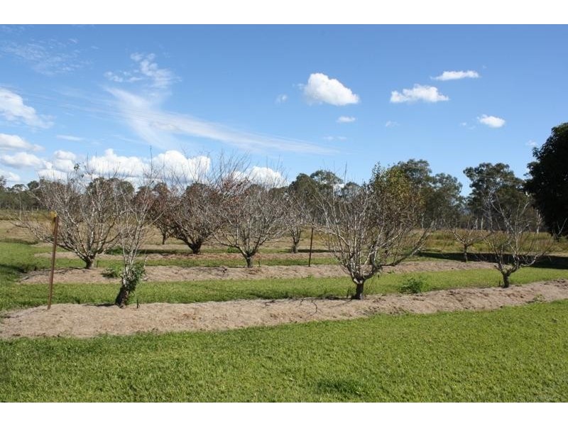 1042 Lowmead Road, Colosseum QLD 4677