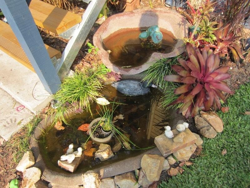 135 Malpas Street, Boyne Island QLD 4680