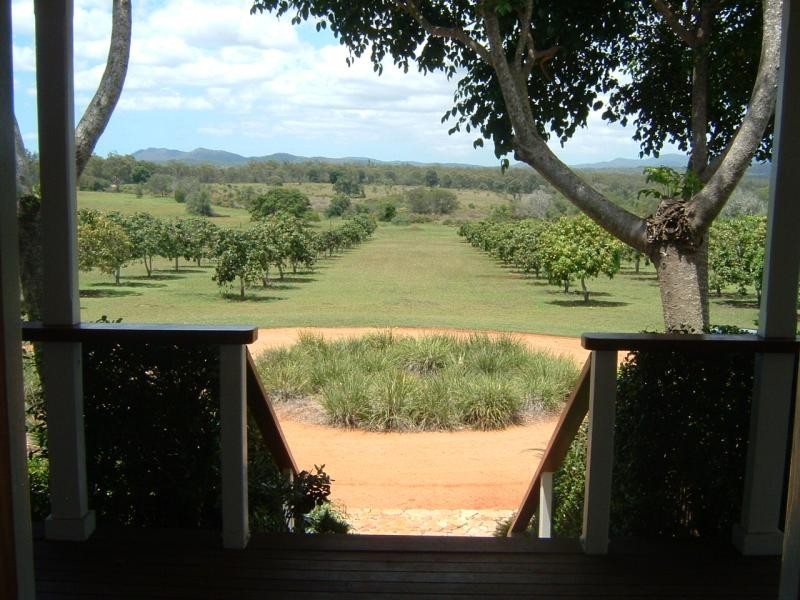 139 WALLABY TRACK, Mount Larcom QLD 4695