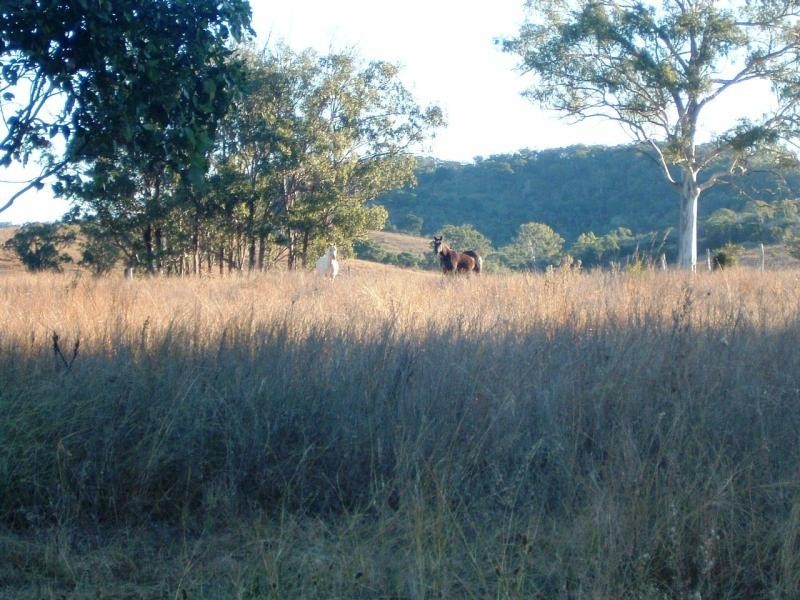 20 Aplin Road, Mt Larcom, Gladstone QLD 4680