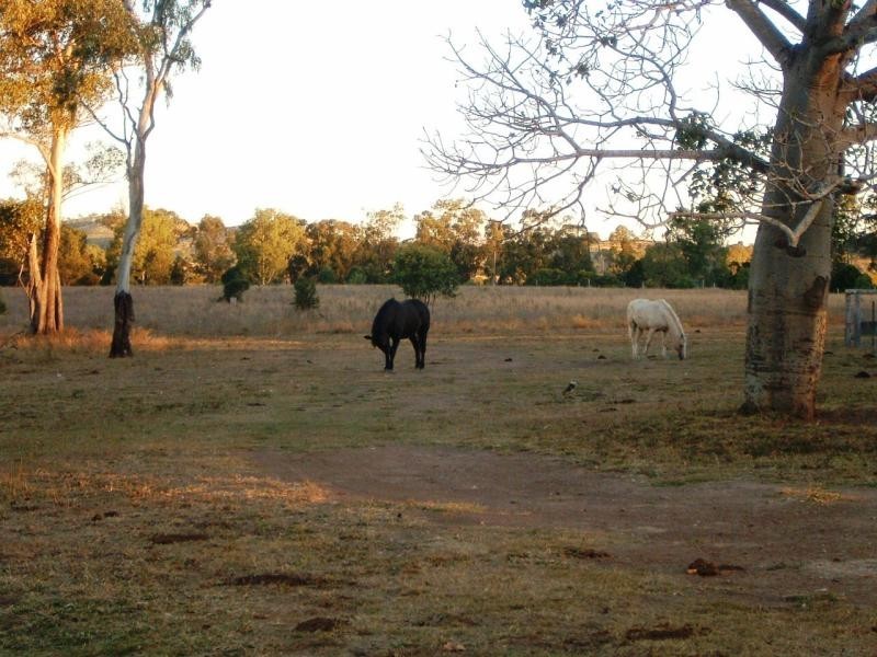 20 Aplin Road, Mt Larcom, Gladstone QLD 4680