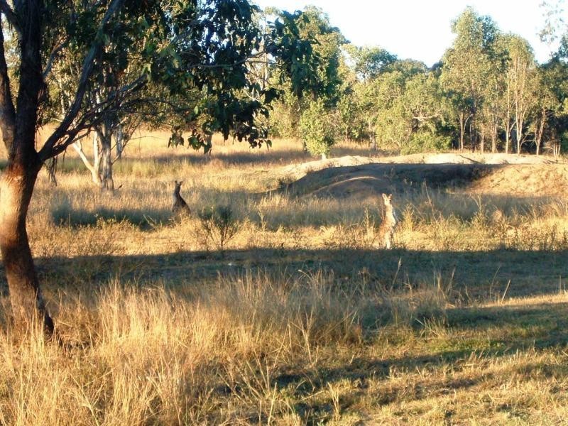 20 Aplin Road, Mt Larcom, Gladstone QLD 4680