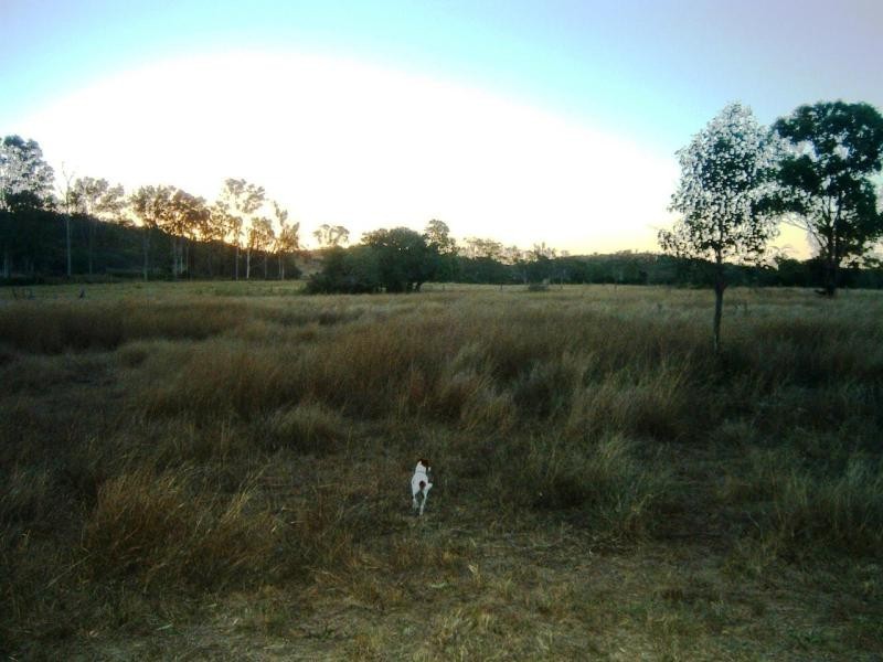 20 Aplin Road, Mt Larcom, Gladstone QLD 4680