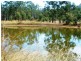 223 Darts Creek Road Mt Larcom, Gladstone QLD 4680