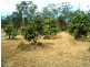 223 Darts Creek Road Mt Larcom, Gladstone QLD 4680