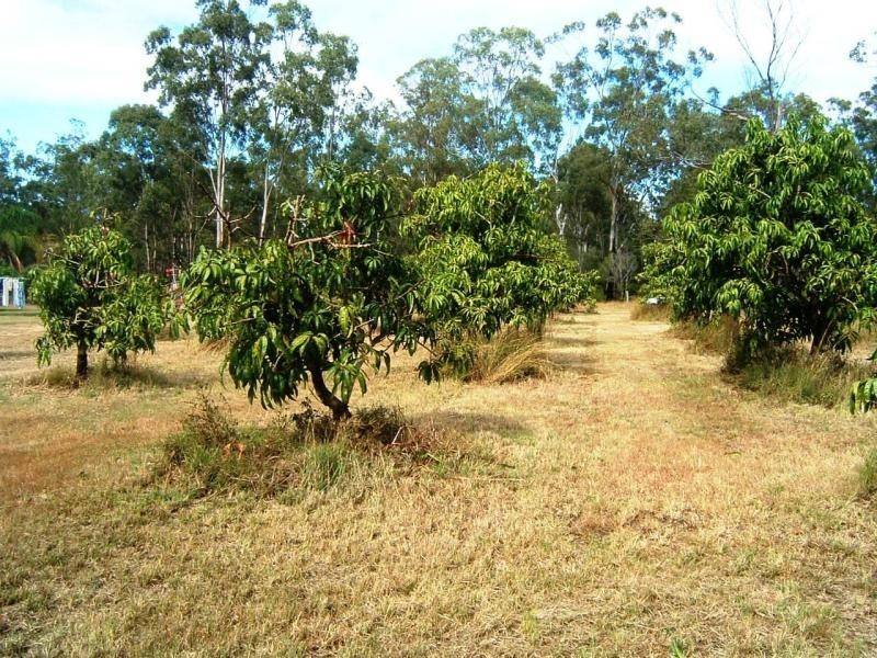 223 Darts Creek Road Mt Larcom, Gladstone QLD 4680