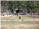 478 RACECOURSE RD,, Calliope QLD 4680