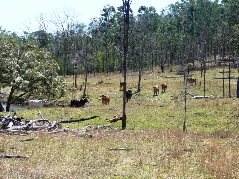 Lot 6/325 LAIRD ROAD, Calliope QLD 4680