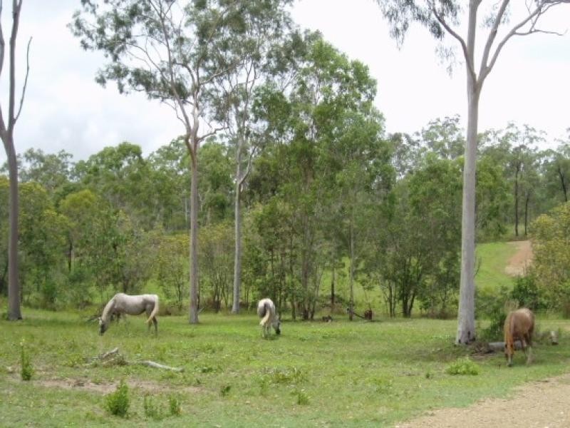 49576 Bruce Highway, Calliope QLD 4680