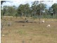 590 Calliope River Road,, West Stowe QLD 4680
