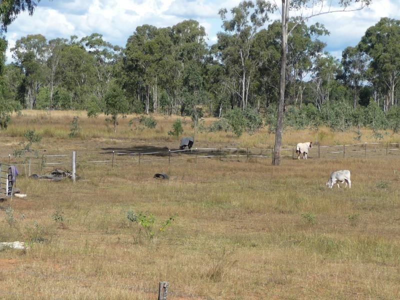 590 Calliope River Road,, West Stowe QLD 4680
