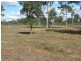 590 Calliope River Road,, West Stowe QLD 4680