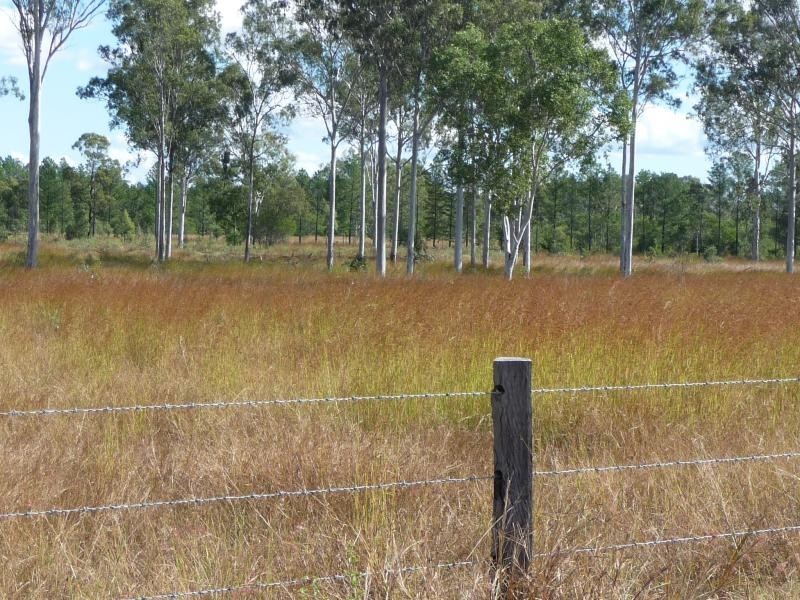 590 Calliope River Road,, West Stowe QLD 4680