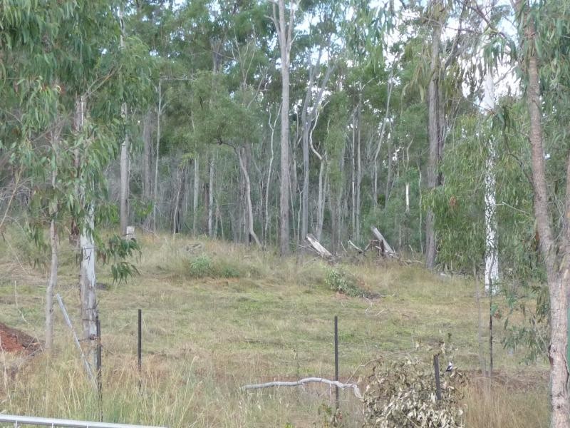 590 Calliope River Road,, West Stowe QLD 4680