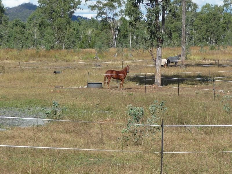 590 Calliope River Road,, West Stowe QLD 4680