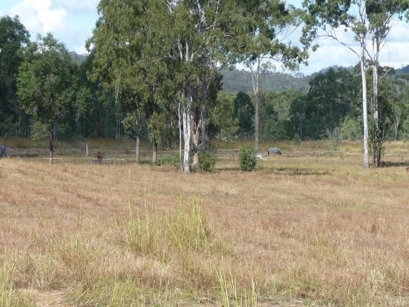 590 Calliope River Road,, West Stowe QLD 4680