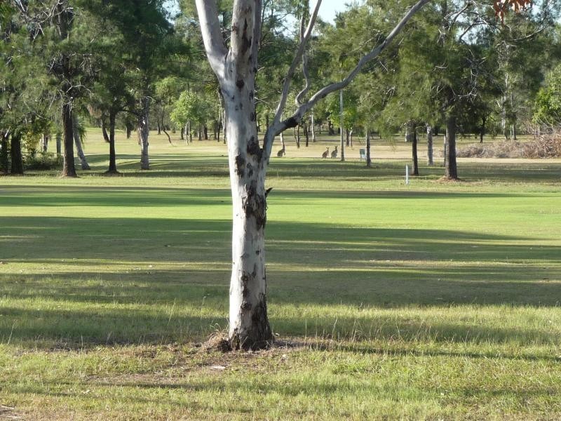 64 Stowe Road, Calliope QLD 4680