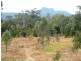 2 Goodman Road, Mount Larcom QLD 4695